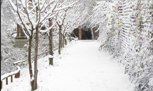  paysage enchanté avec de la neige 